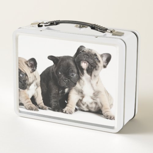 Three Pug Puppies Metal Lunch Box
