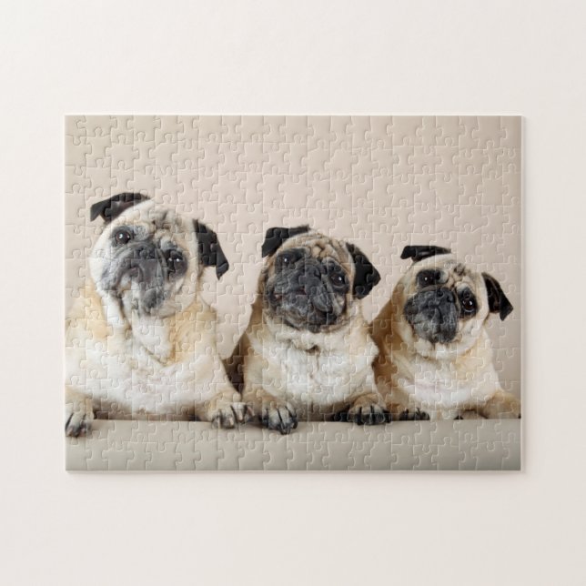 Three Pugs In A Row Jigsaw Puzzle (Horizontal)