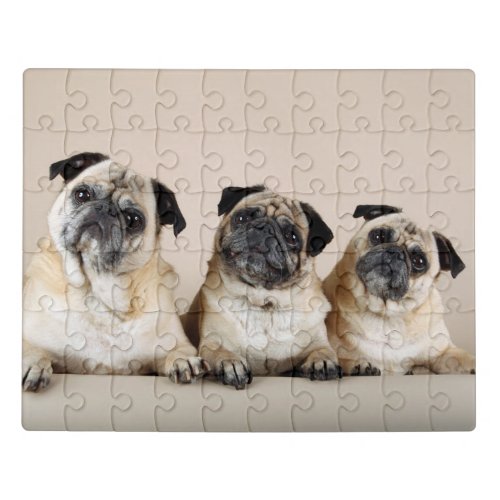 Three Pugs In A Row Jigsaw Puzzle
