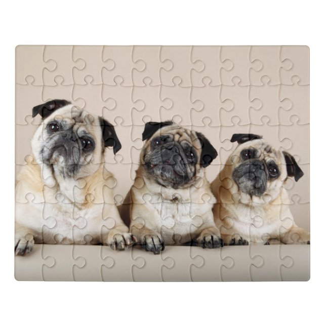 Three Pugs In A Row Jigsaw Puzzle (Puzzle Horizontal)