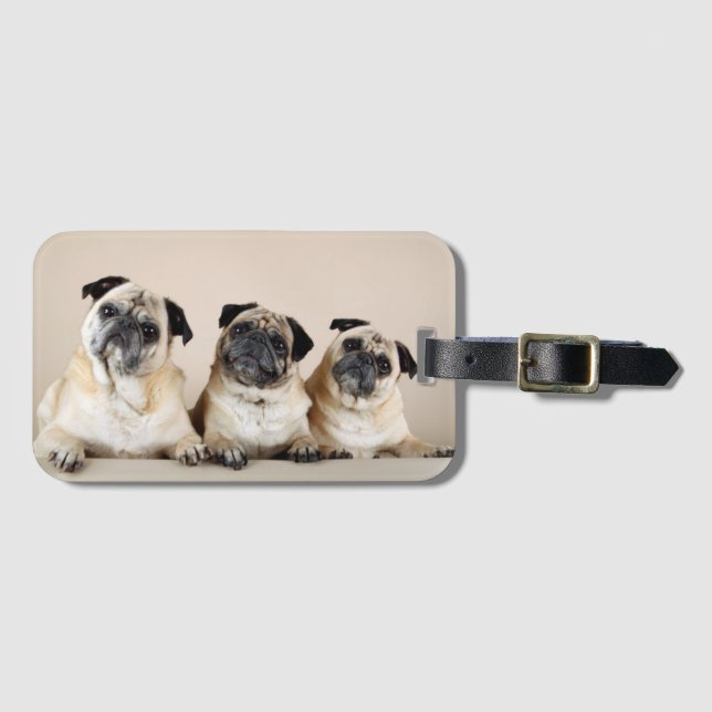 Three Pugs In A Row Luggage Tag (Front Horizontal)