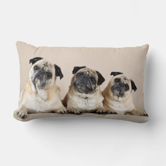 Three Pugs In A Row Lumbar Pillow (Front)