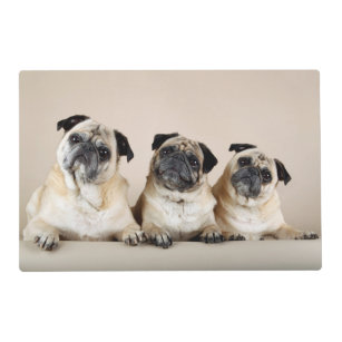 Three Pugs In A Row Placemat