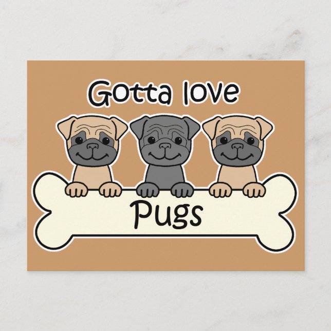 Three Pugs Postcard (Front)