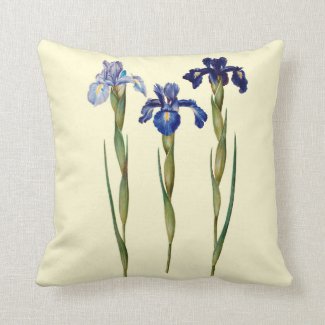 Three Purple Iris Indoor Pillow 16x16