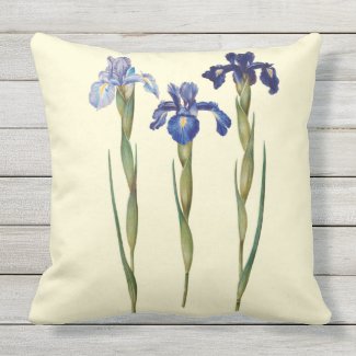 Three Purple Iris Outdoor Pillow ;