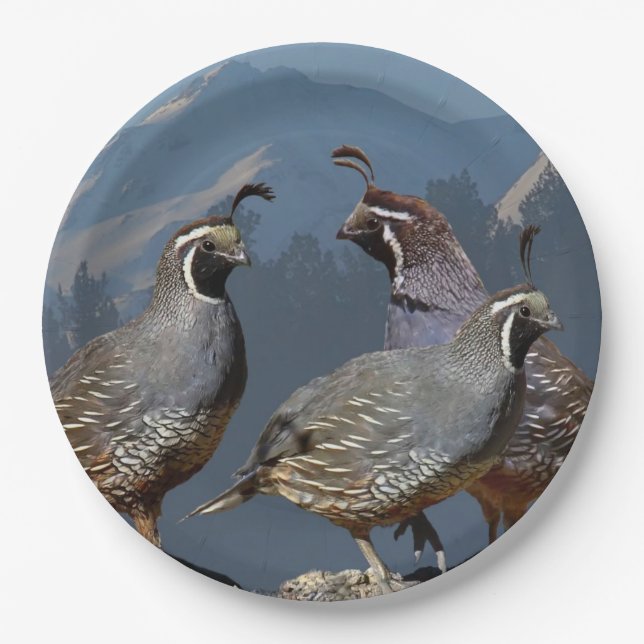 THREE QUAIL AND SHASTA PAPER PLATES (Front)