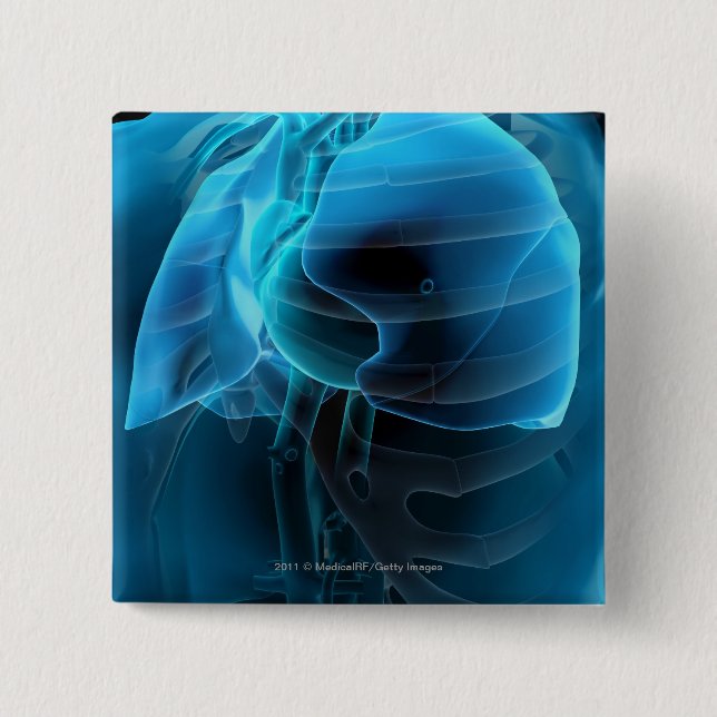 Three quarter view of the heart and lungs pinback button (Front)