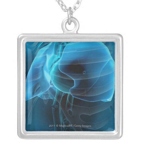 Three quarter view of the heart and lungs silver plated necklace