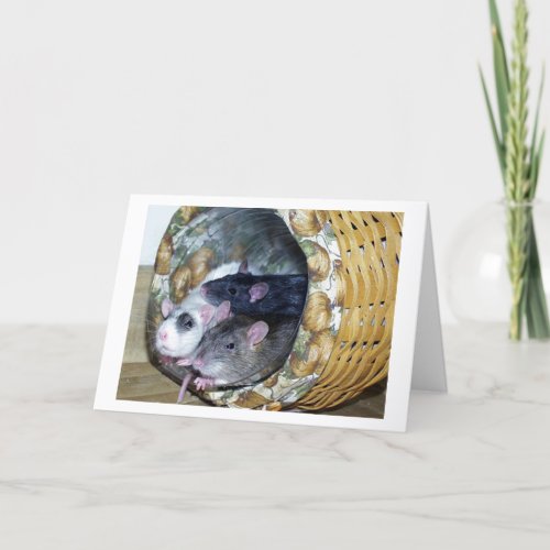 Three Rats in a Basket Card