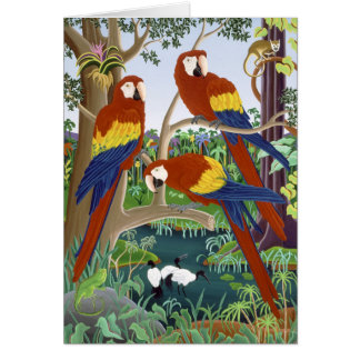 Three Red Macaws Cards