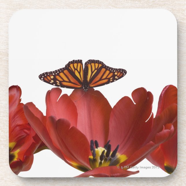 Three red tulips and a monarch butterfly against drink coaster (Front)