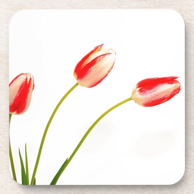  Three red, white, tulips  Beverage Coaster (Front)