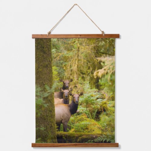 Three Roosevelt Elk Cows Looking At View Hanging Tapestry