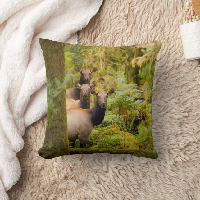 Three Roosevelt Elk Cows Looking At View Throw Pillow (Blanket)