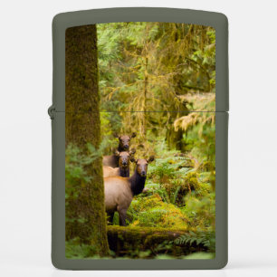 Three Roosevelt Elk Cows Looking At View Zippo Lighter