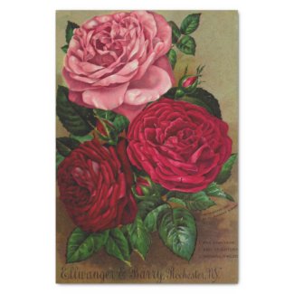 Three Roses Seed Catalog Tissue Paper