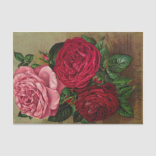 Three Roses Seed Catalog Tissue Paper