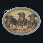 Three Rottweiler Dogs - Pack of Rotties Belt Buckle<br><div class="desc">Three Rottweiler Dogs - Pack of Rotties Belt Buckle</div>