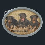 Three Rottweiler Dogs - Pack of Rotties Belt Buckle<br><div class="desc">Three Rottweiler Dogs - Pack of Rotties Belt Buckle</div>