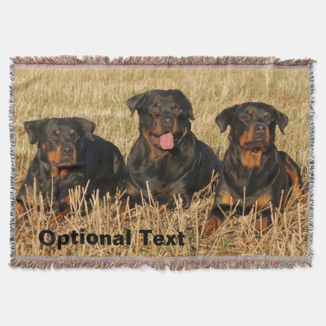 Three Rottweiler Dogs - Pack of Rotties Throw Blanket (Front)