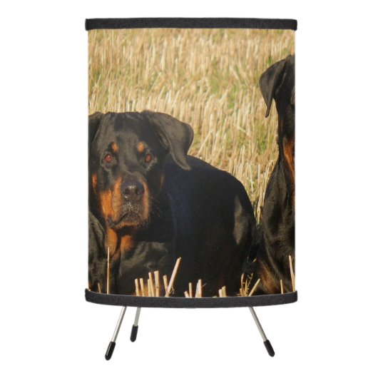 Three Rottweiler Dogs - Pack of Rotties Tripod Lamp (Left)