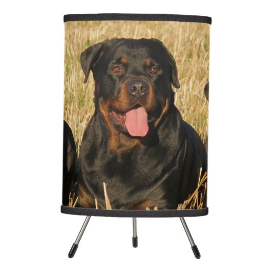 Three Rottweiler Dogs - Pack of Rotties Tripod Lamp (Front)