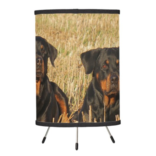Three Rottweiler Dogs - Pack of Rotties Tripod Lamp (Back)