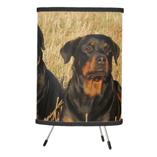 Three Rottweiler Dogs - Pack of Rotties Tripod Lamp (Right)
