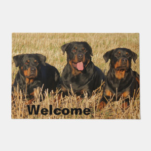 Three Rottweiler Dogs - Pack of Rotties Welcome Doormat