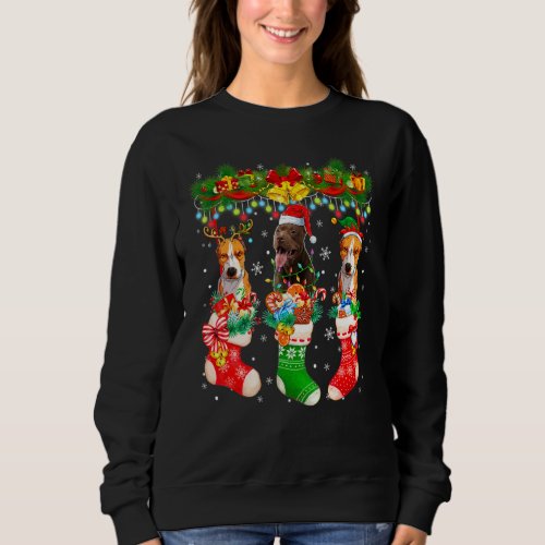 Three Santa Reindeer Elf Pit Bull Dogs In Christma Sweatshirt