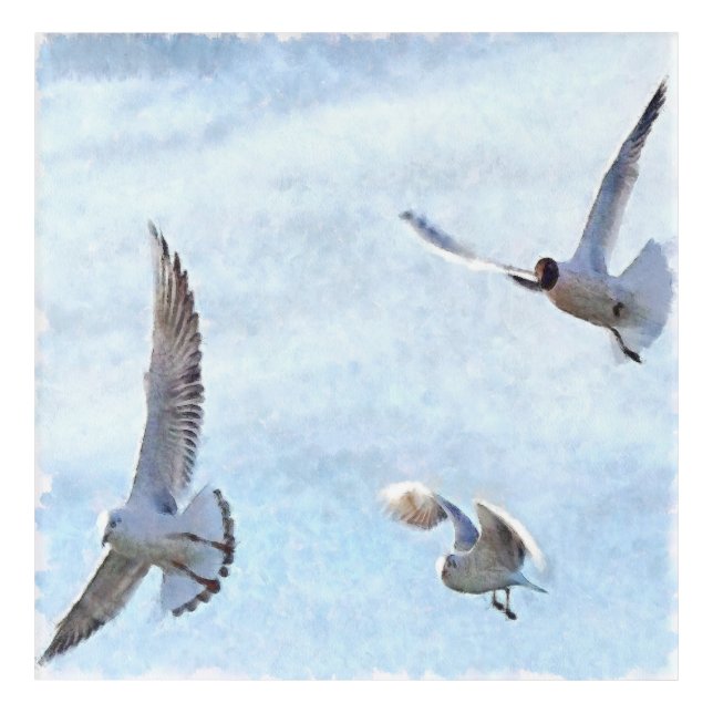 Three Seagulls Watercolor Acrylic Print (Front)