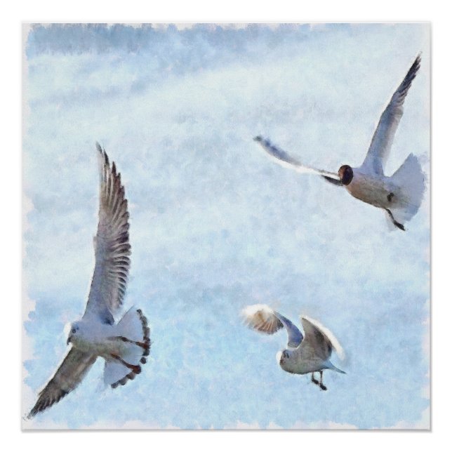 Three Seagulls Watercolor Poster (Front)
