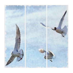 Three Seagulls Watercolor Triptych