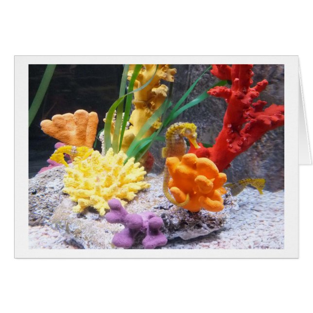 Three seahorses cards (Front Horizontal)