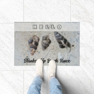 Three Seashells in Concrete Beach House Custom