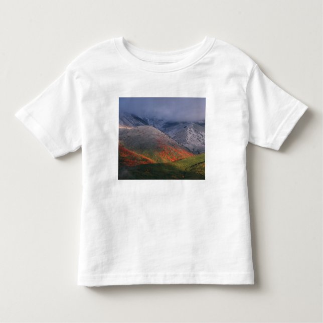 Three seasons of foliage, red maples and fall toddler t-shirt (Front)