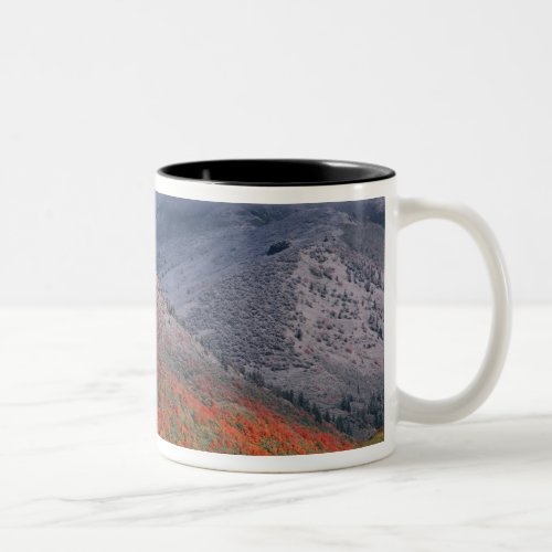 Three seasons of foliage red maples and fall Two_Tone coffee mug