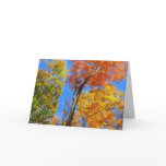 Three Shades of Colorful Fall Maple Trees Card