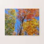 Three Shades of Colorful Fall Maple Trees Jigsaw Puzzle