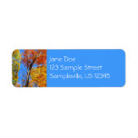 Three Shades of Colorful Fall Maple Trees Label