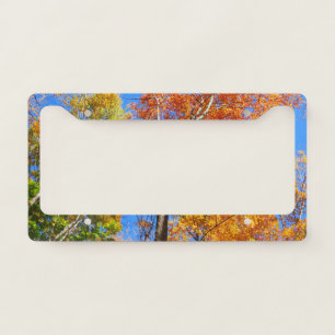 Three Shades of Colorful Fall Maple Trees License Plate Frame
