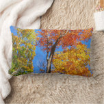 Three Shades of Colorful Fall Maple Trees Lumbar Pillow
