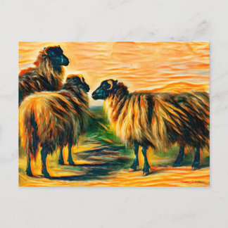 Three sheep postcard