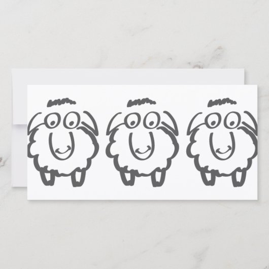 three sheeps (Front)