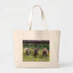 Three Shetland pony stallions - Jumbo Tote