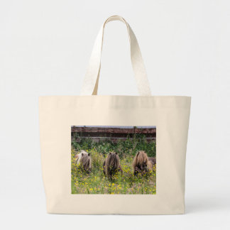 Three Shetland pony stallions - Jumbo Tote