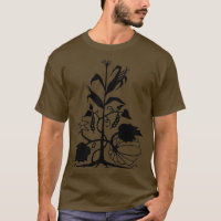 Three Sisters Corn Beans and Squash 