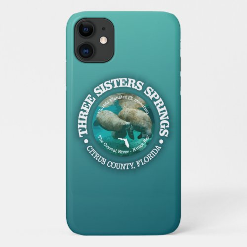 Three Sisters Springs rd iPhone 11 Case