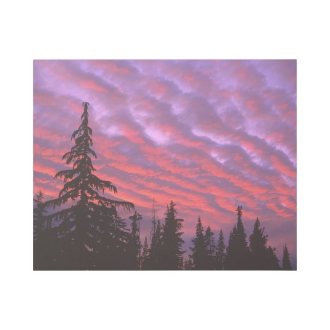 Three Sisters Wilderness, Oregon Gallery Wrap (Front)